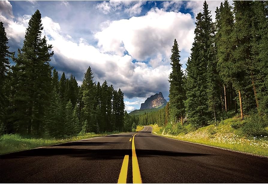 Direção responsável nas rodovias garante férias sem sustos